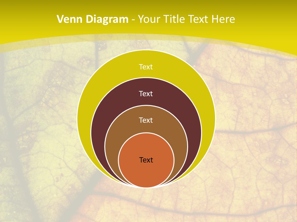 September Dry November PowerPoint Template