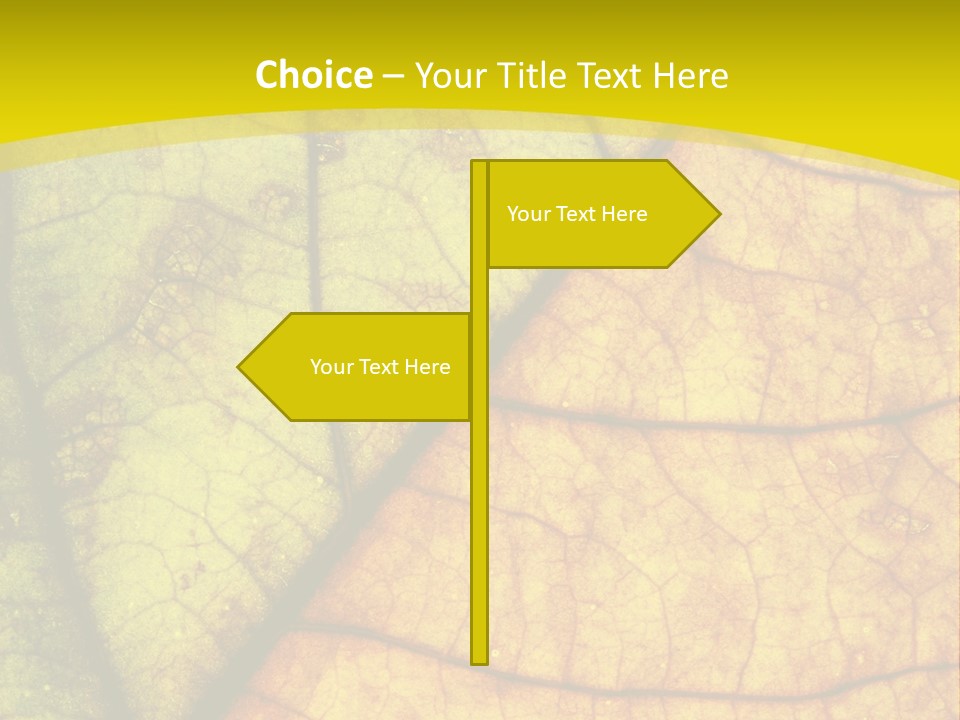 September Dry November PowerPoint Template