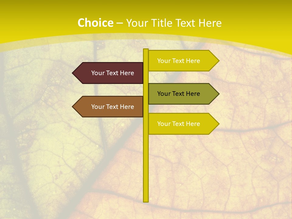 September Dry November PowerPoint Template