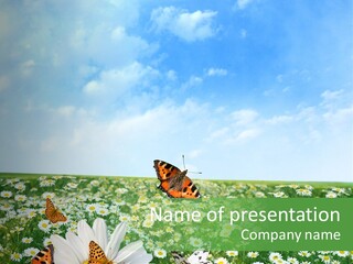 Chamomile Botany Aromatherapy PowerPoint Template