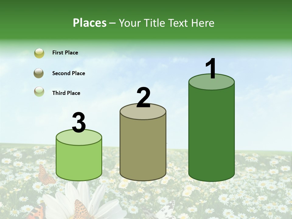 Chamomile Botany Aromatherapy PowerPoint Template