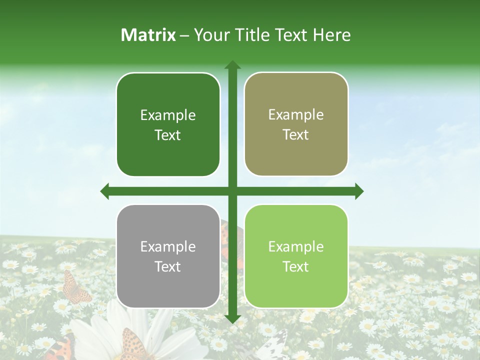 Chamomile Botany Aromatherapy PowerPoint Template