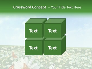 Chamomile Botany Aromatherapy PowerPoint Template