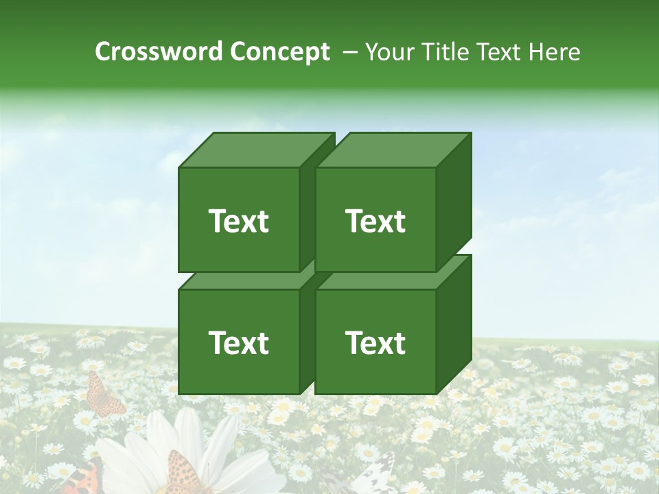 Chamomile Botany Aromatherapy PowerPoint Template