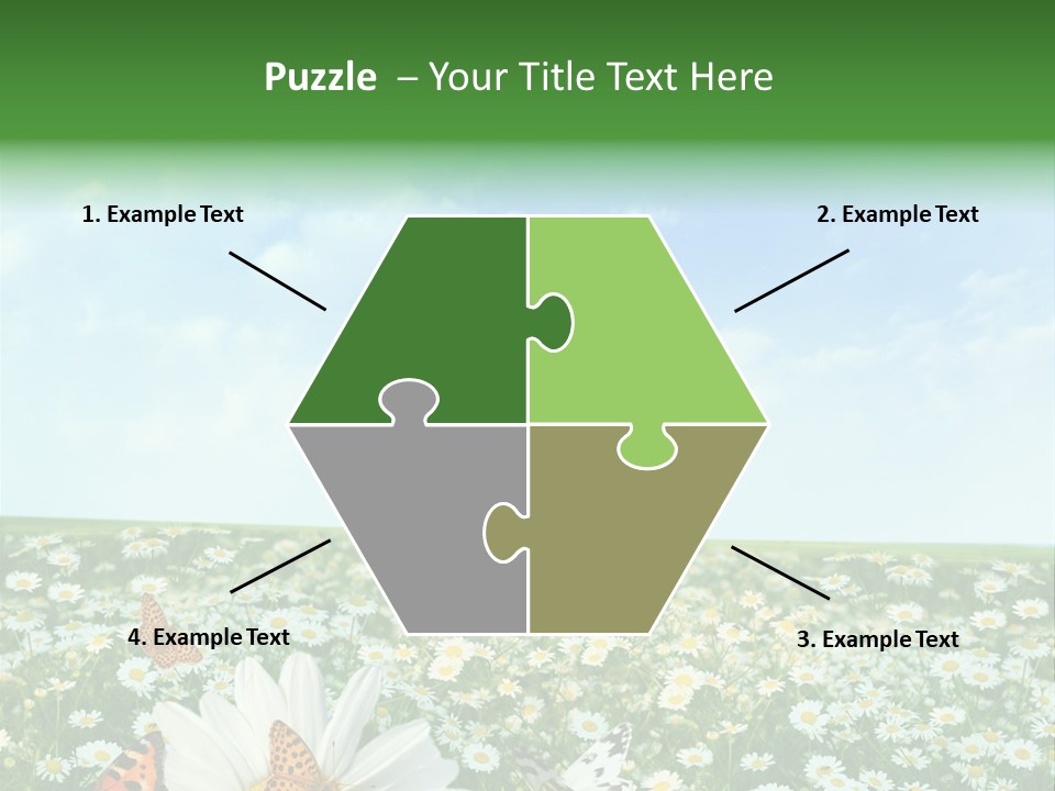 Chamomile Botany Aromatherapy PowerPoint Template