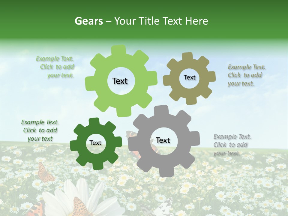 Chamomile Botany Aromatherapy PowerPoint Template