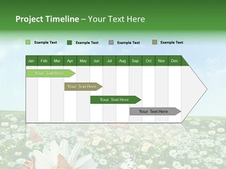 Chamomile Botany Aromatherapy PowerPoint Template