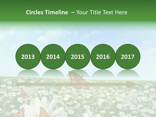 Chamomile Botany Aromatherapy PowerPoint Template