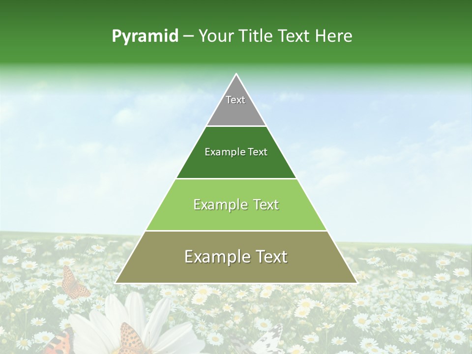 Chamomile Botany Aromatherapy PowerPoint Template