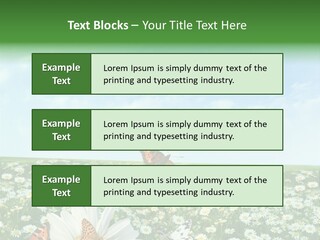 Chamomile Botany Aromatherapy PowerPoint Template