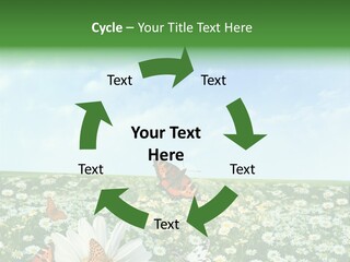 Chamomile Botany Aromatherapy PowerPoint Template