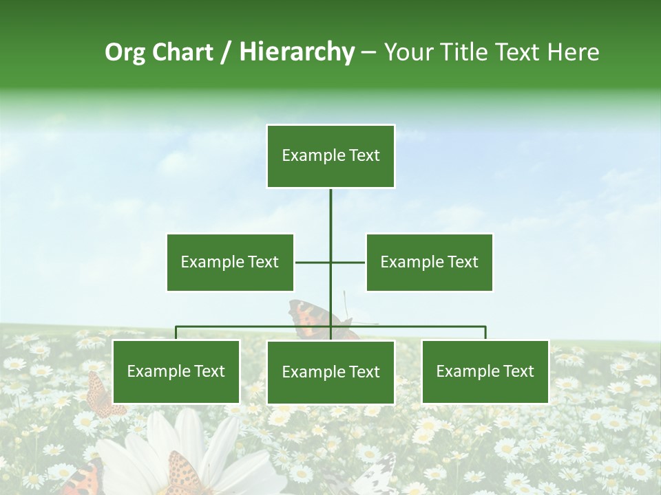 Chamomile Botany Aromatherapy PowerPoint Template