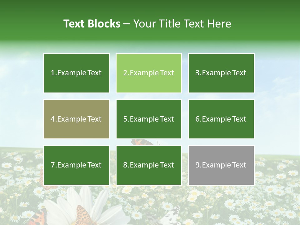 Chamomile Botany Aromatherapy PowerPoint Template