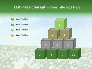 Chamomile Botany Aromatherapy PowerPoint Template