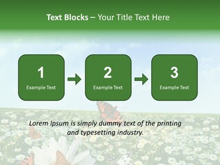 Chamomile Botany Aromatherapy PowerPoint Template