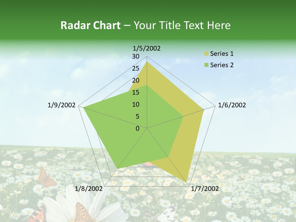 Chamomile Botany Aromatherapy PowerPoint Template