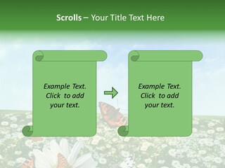 Chamomile Botany Aromatherapy PowerPoint Template
