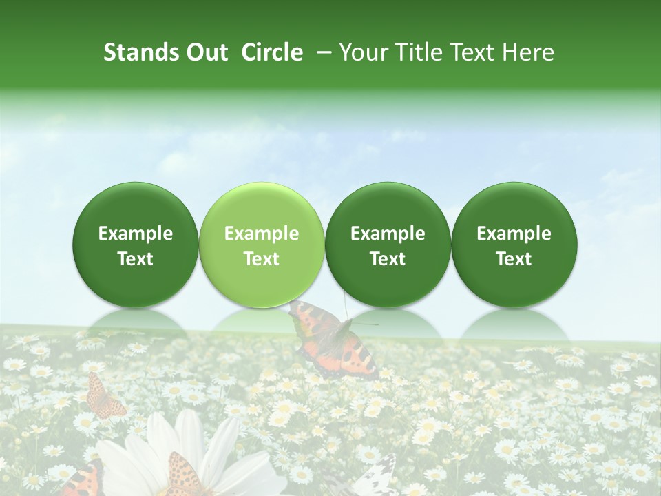 Chamomile Botany Aromatherapy PowerPoint Template
