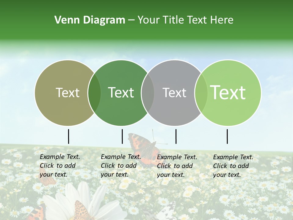 Chamomile Botany Aromatherapy PowerPoint Template