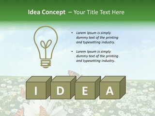 Chamomile Botany Aromatherapy PowerPoint Template