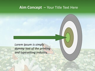 Chamomile Botany Aromatherapy PowerPoint Template