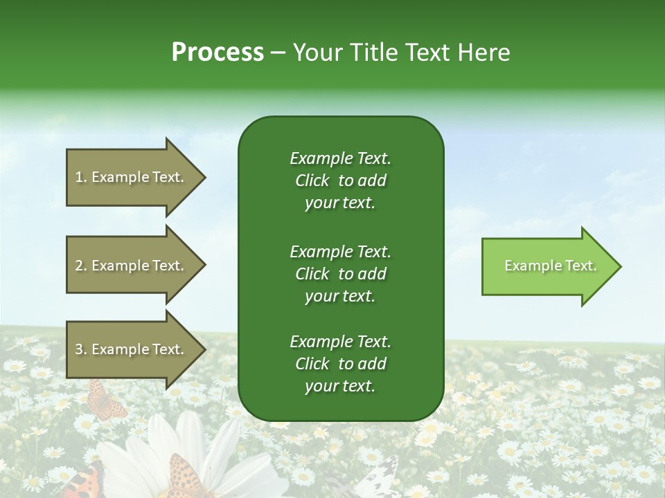 Chamomile Botany Aromatherapy PowerPoint Template