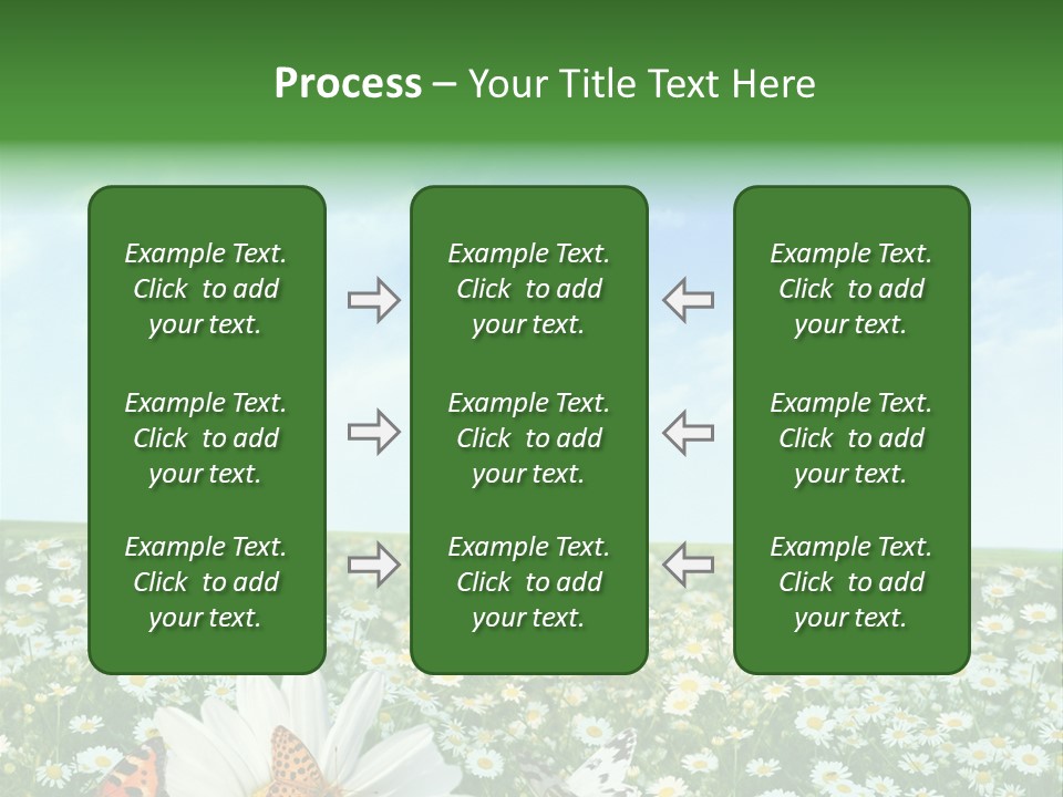 Chamomile Botany Aromatherapy PowerPoint Template