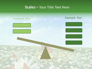 Chamomile Botany Aromatherapy PowerPoint Template
