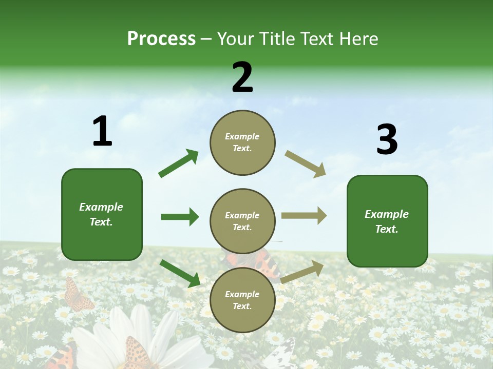 Chamomile Botany Aromatherapy PowerPoint Template
