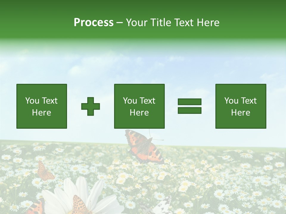 Chamomile Botany Aromatherapy PowerPoint Template