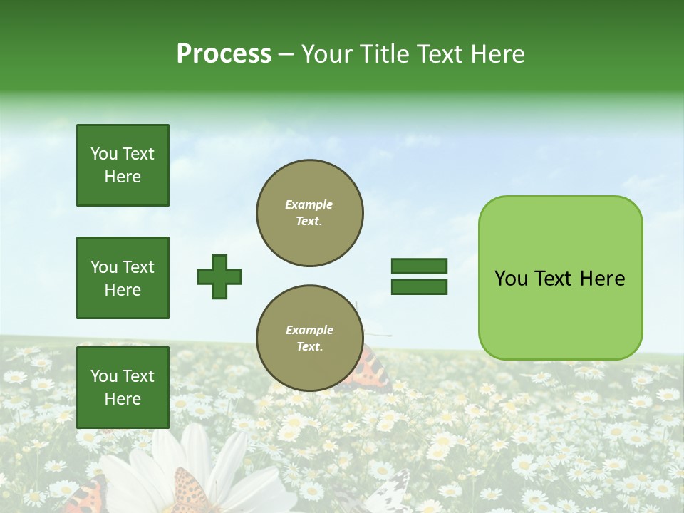 Chamomile Botany Aromatherapy PowerPoint Template