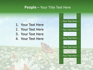 Chamomile Botany Aromatherapy PowerPoint Template