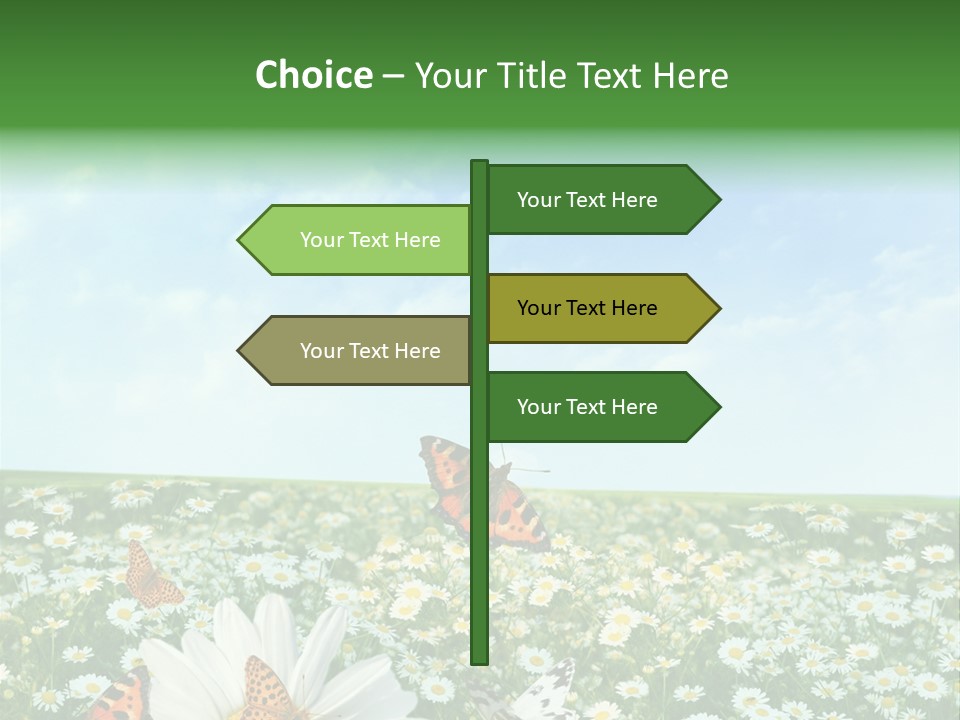 Chamomile Botany Aromatherapy PowerPoint Template