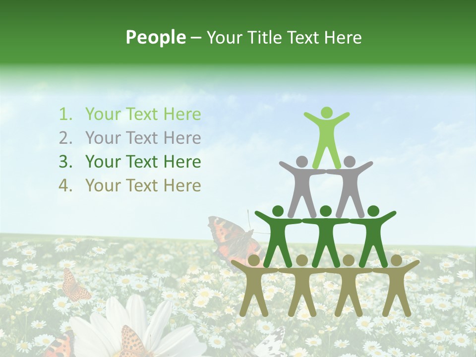 Chamomile Botany Aromatherapy PowerPoint Template