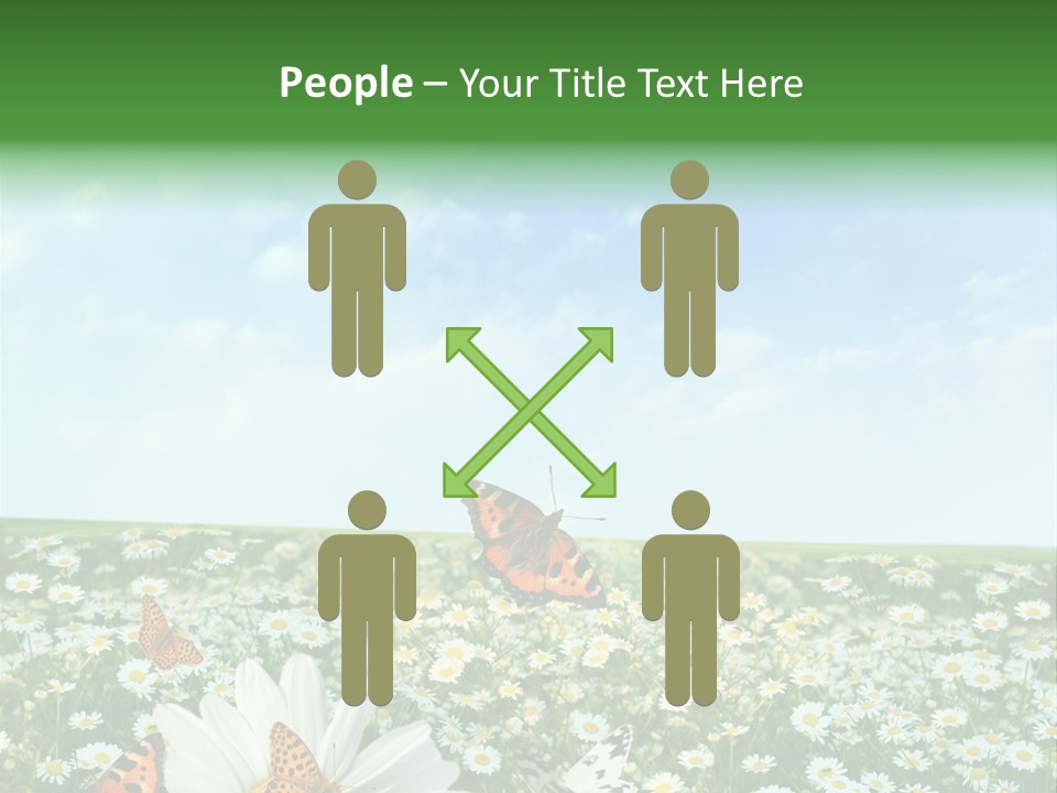 Chamomile Botany Aromatherapy PowerPoint Template