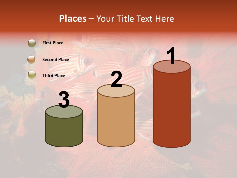 Island Animal Beauty PowerPoint Template