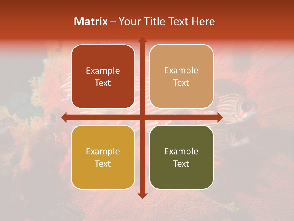 Island Animal Beauty PowerPoint Template