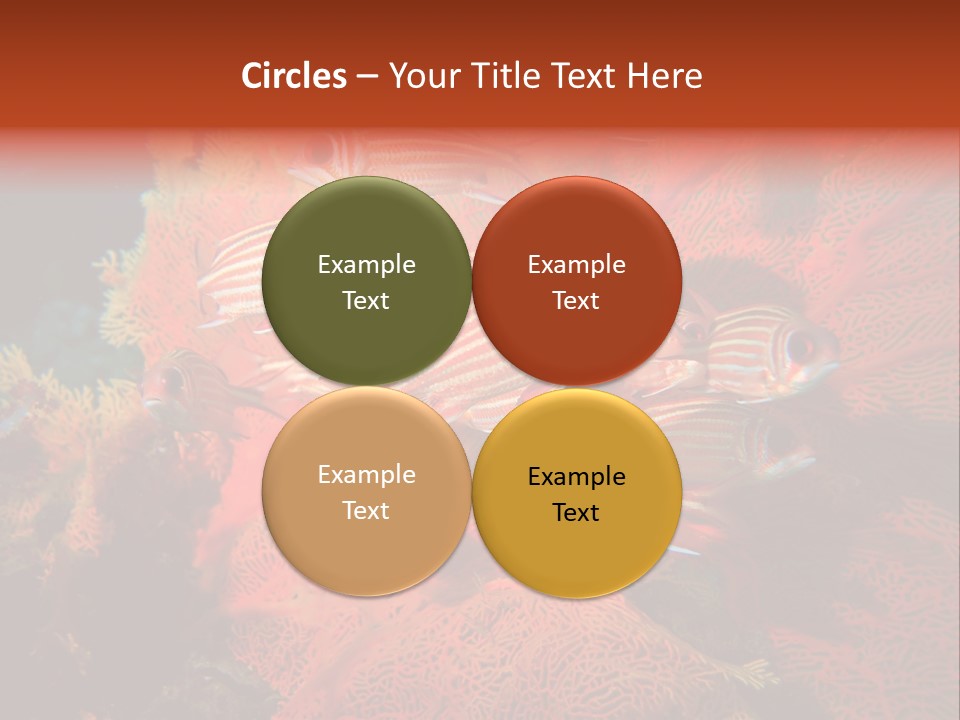 Island Animal Beauty PowerPoint Template