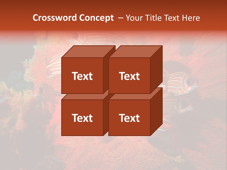 Island Animal Beauty PowerPoint Template