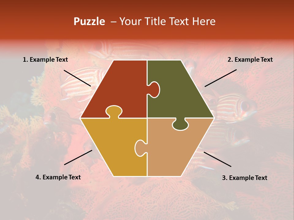 Island Animal Beauty PowerPoint Template