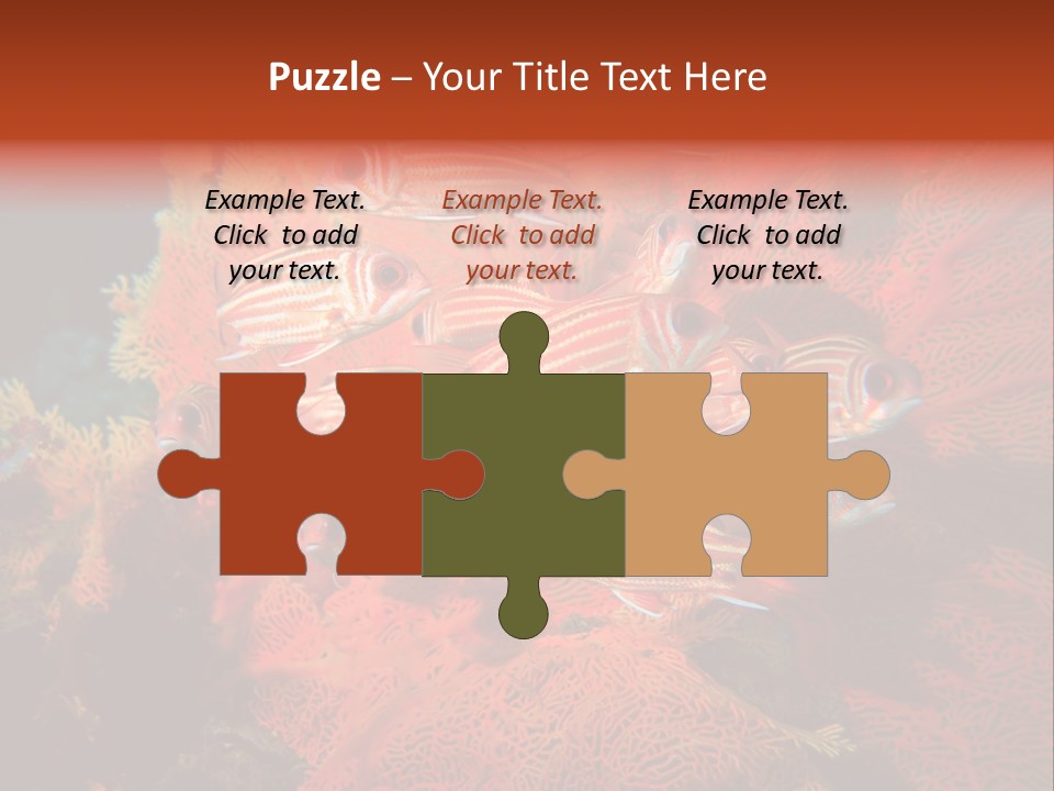 Island Animal Beauty PowerPoint Template