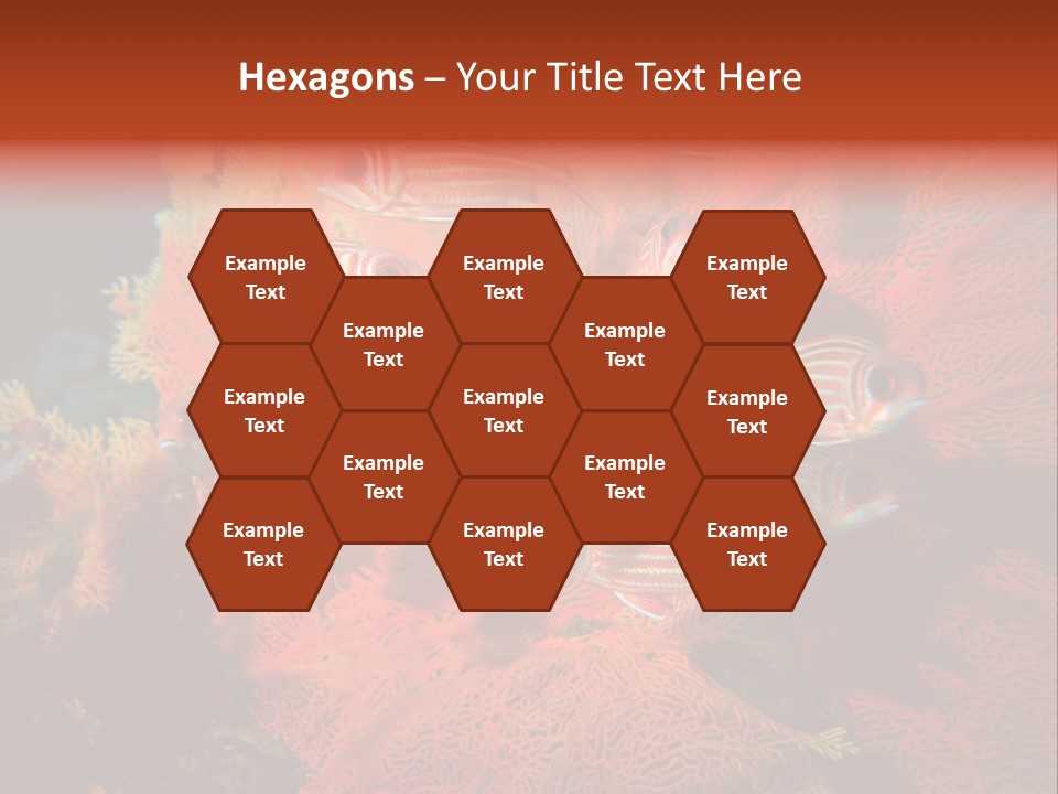 Island Animal Beauty PowerPoint Template