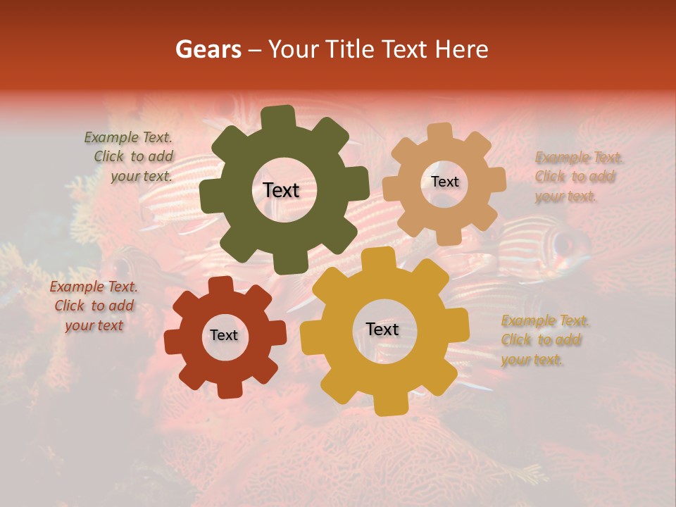 Island Animal Beauty PowerPoint Template