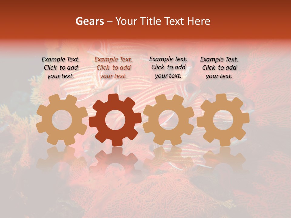 Island Animal Beauty PowerPoint Template