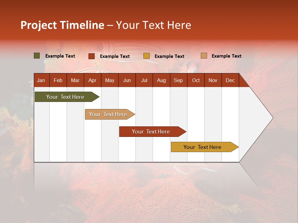 Island Animal Beauty PowerPoint Template