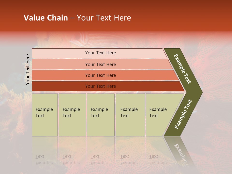Island Animal Beauty PowerPoint Template