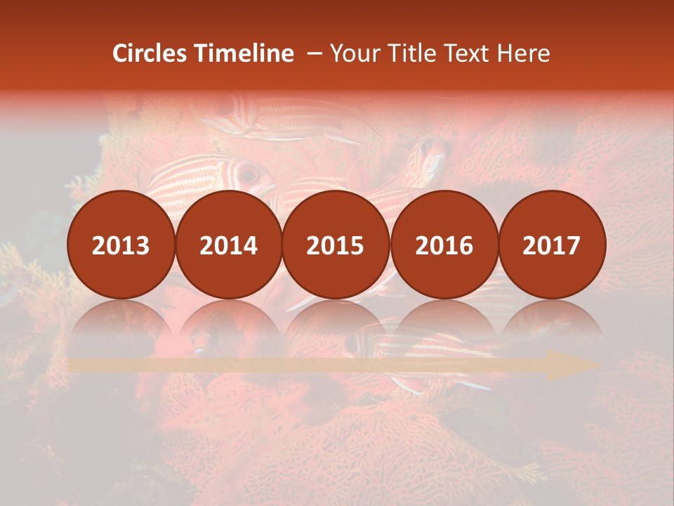 Island Animal Beauty PowerPoint Template