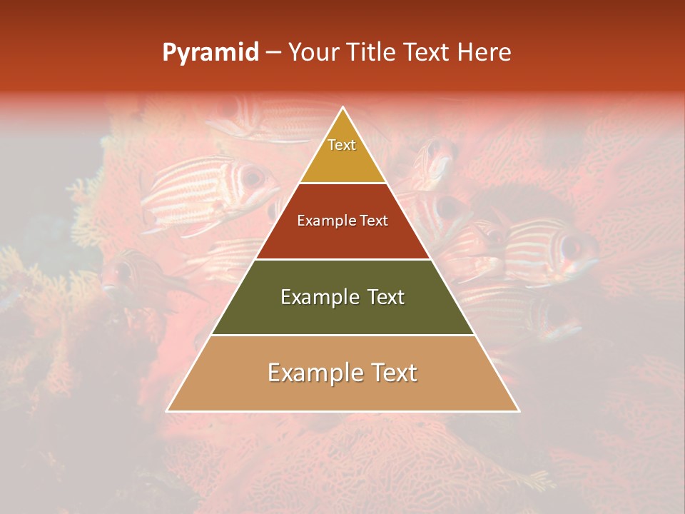 Island Animal Beauty PowerPoint Template