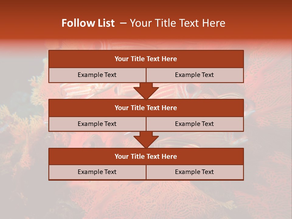 Island Animal Beauty PowerPoint Template