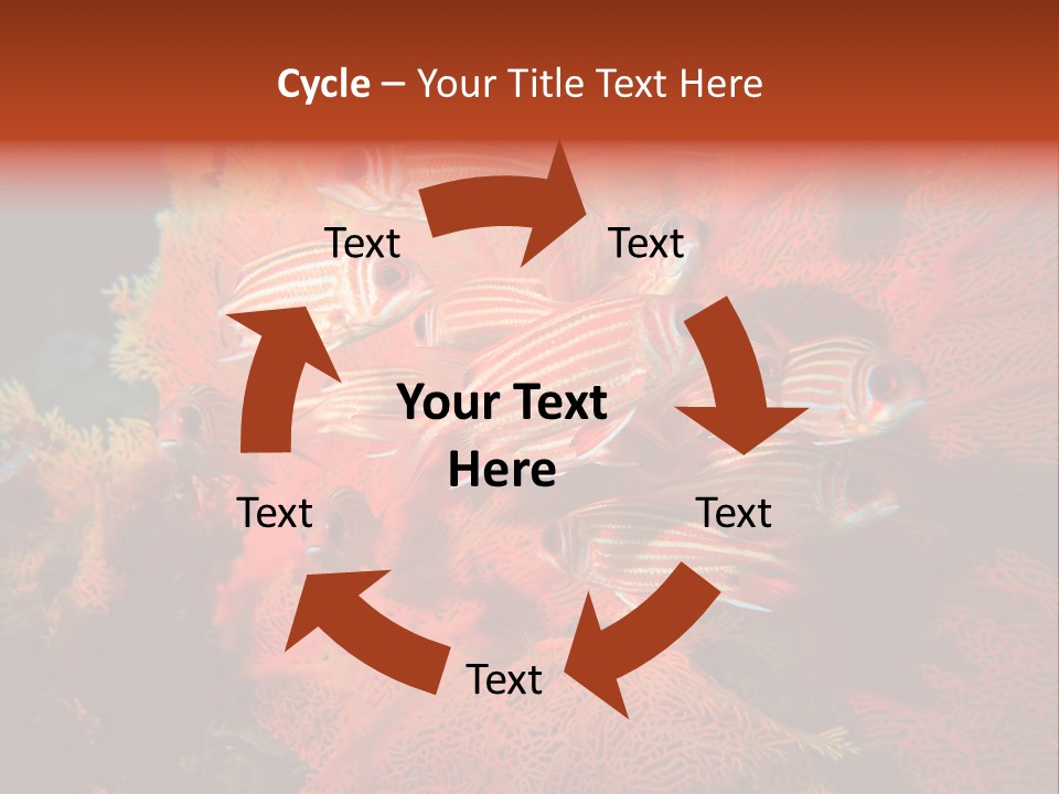 Island Animal Beauty PowerPoint Template